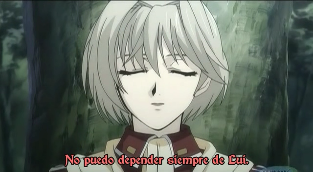 Meine Liebe (Hikari Anime)